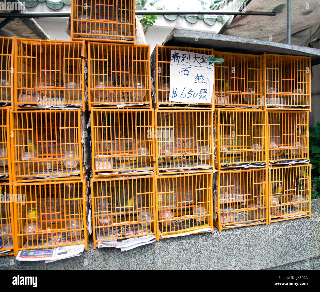 Birds for sale, Bird Market, Hong Kong, China. Stock Photo