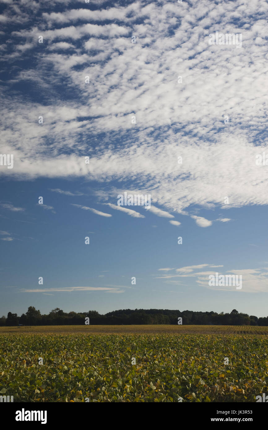Maryland eastern shore hires stock photography and images Alamy
