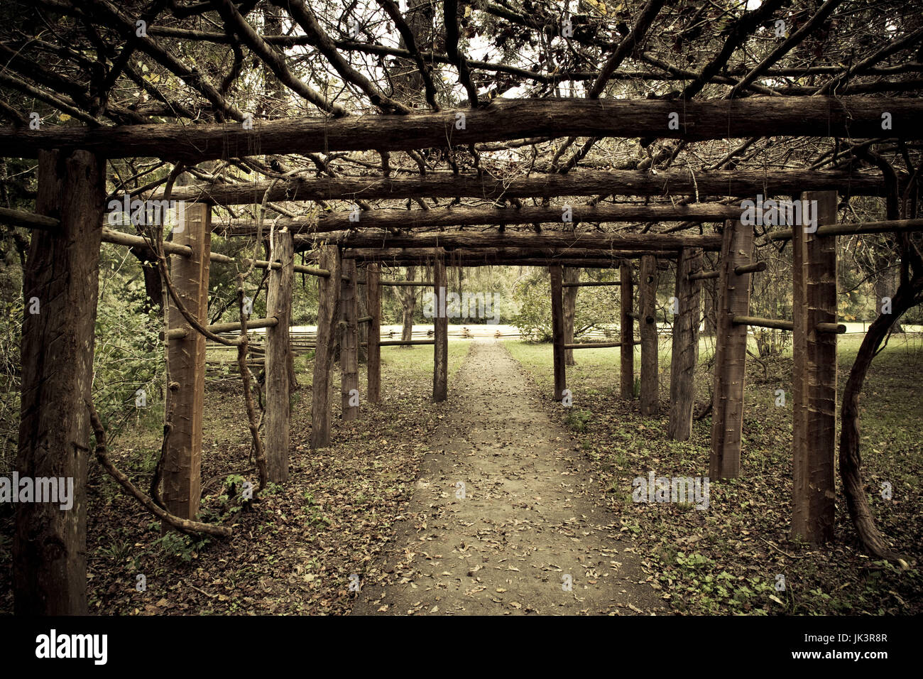 USA, Mississippi, Natchez, Natchez Trace Parkway, Mount Locust Inn and