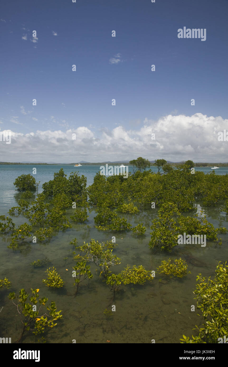 Australia, Queensland, Capricorn Coast, Town of 1770, named in honor of Captain Cook's landing there on May 24, 1770, View of Bustard Bay, Stock Photo