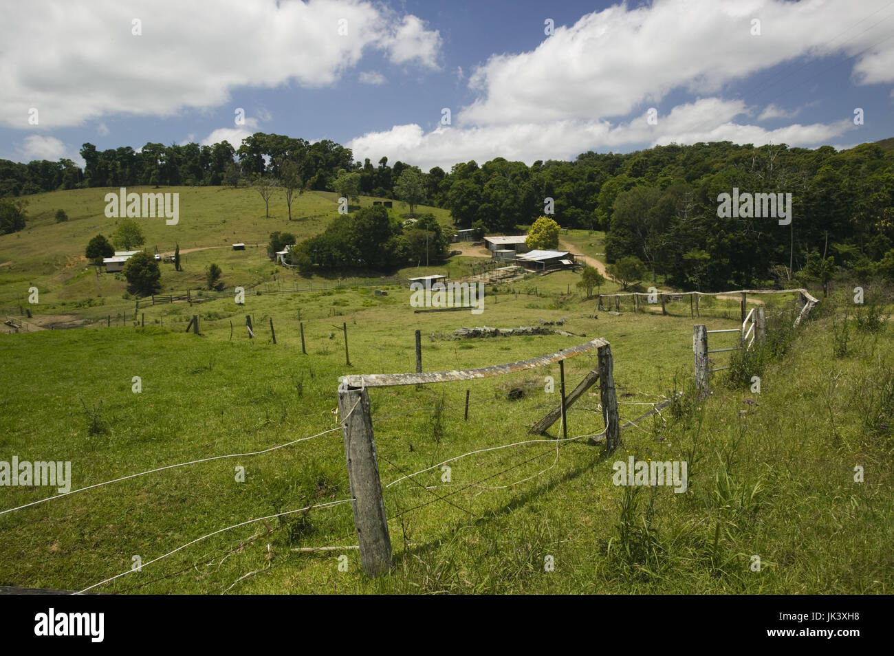 Australia, Queensland, Whitsunday Coast, Pioneer Valley-Eungella, View of Cattle Ranch, Stock Photo