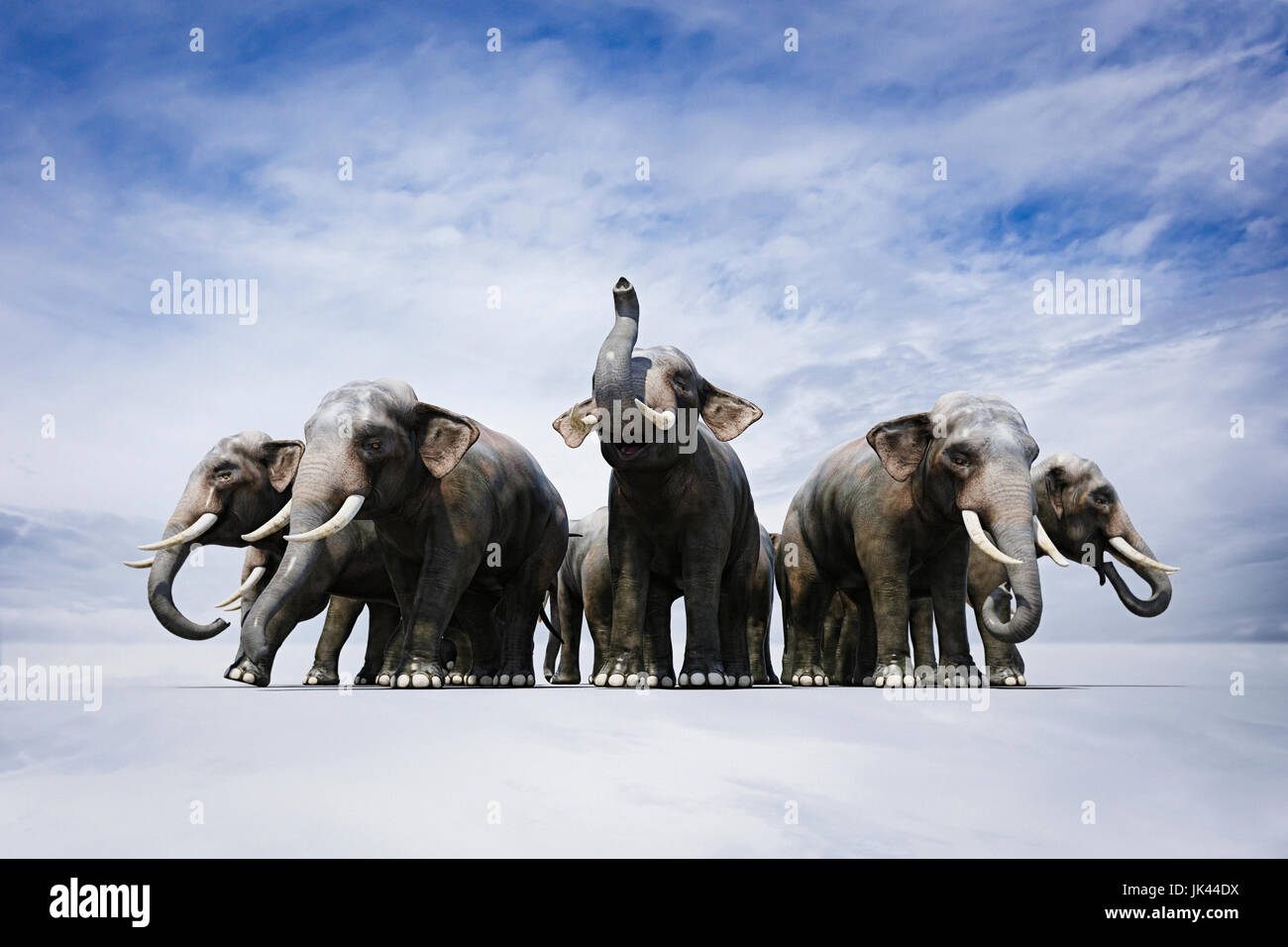 Herd of fierce elephants in circle Stock Photo