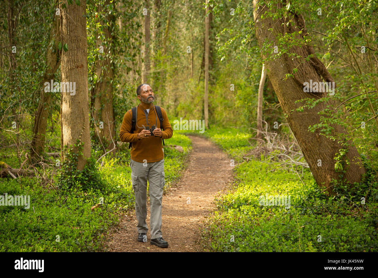 African American man walking on path in forest holding binoculars Stock Photo