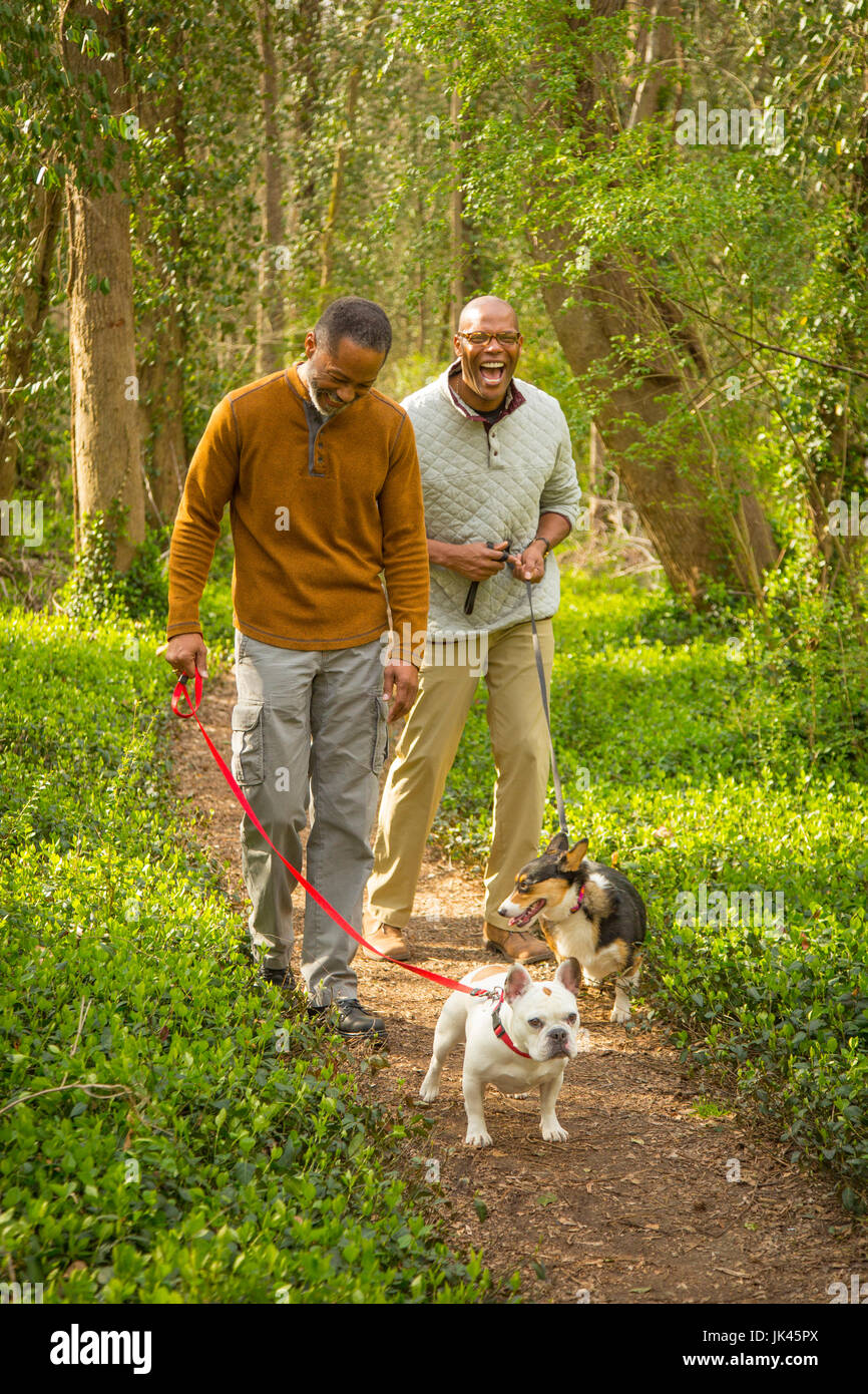 African American men walking dogs on path in forest Stock Photo