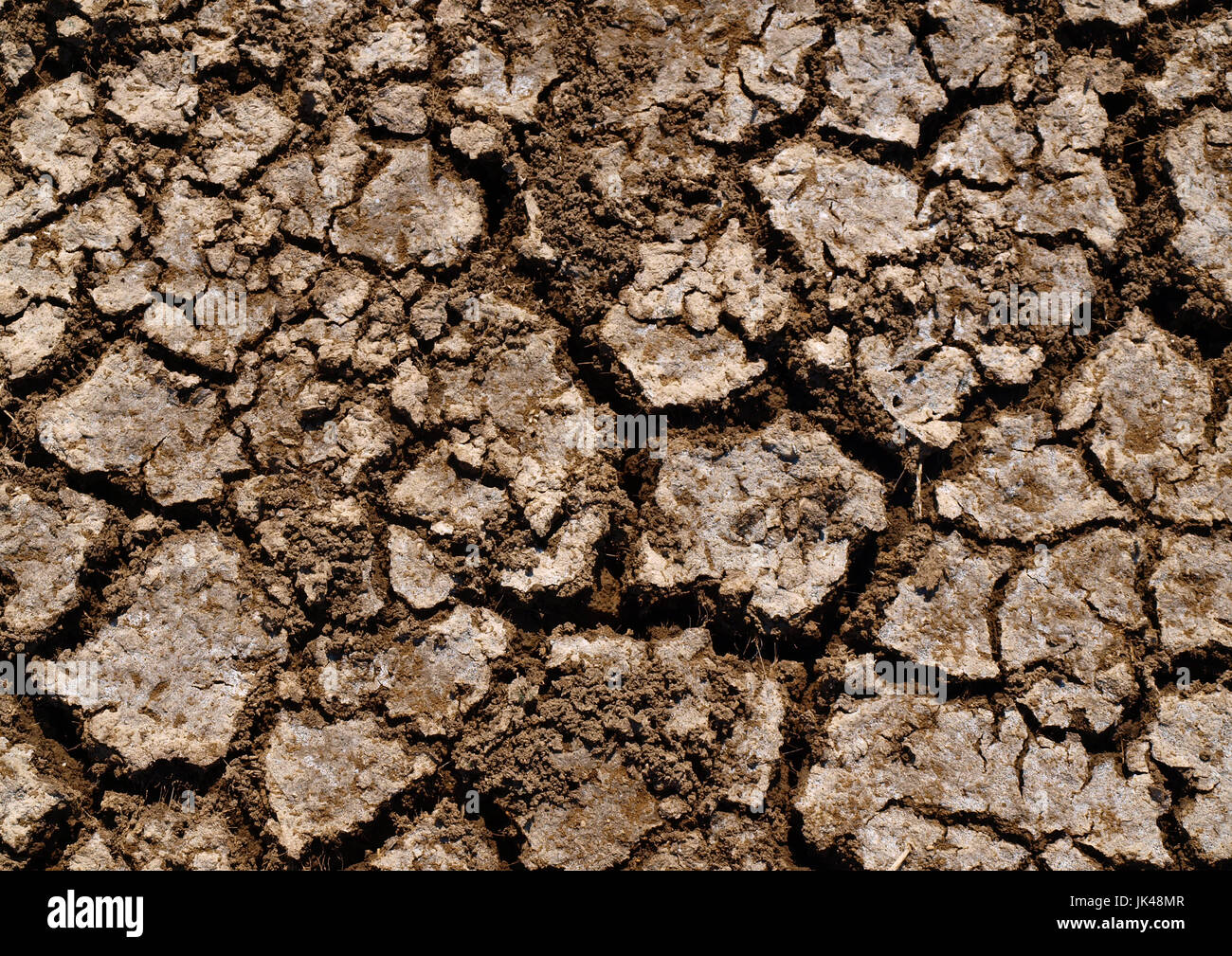 Dry earth background texture Stock Photo