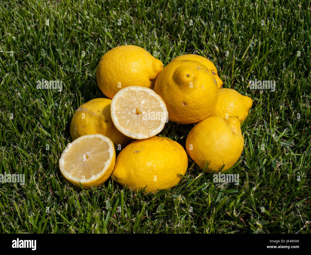 Electrolytes in lemons hires stock photography and images Alamy