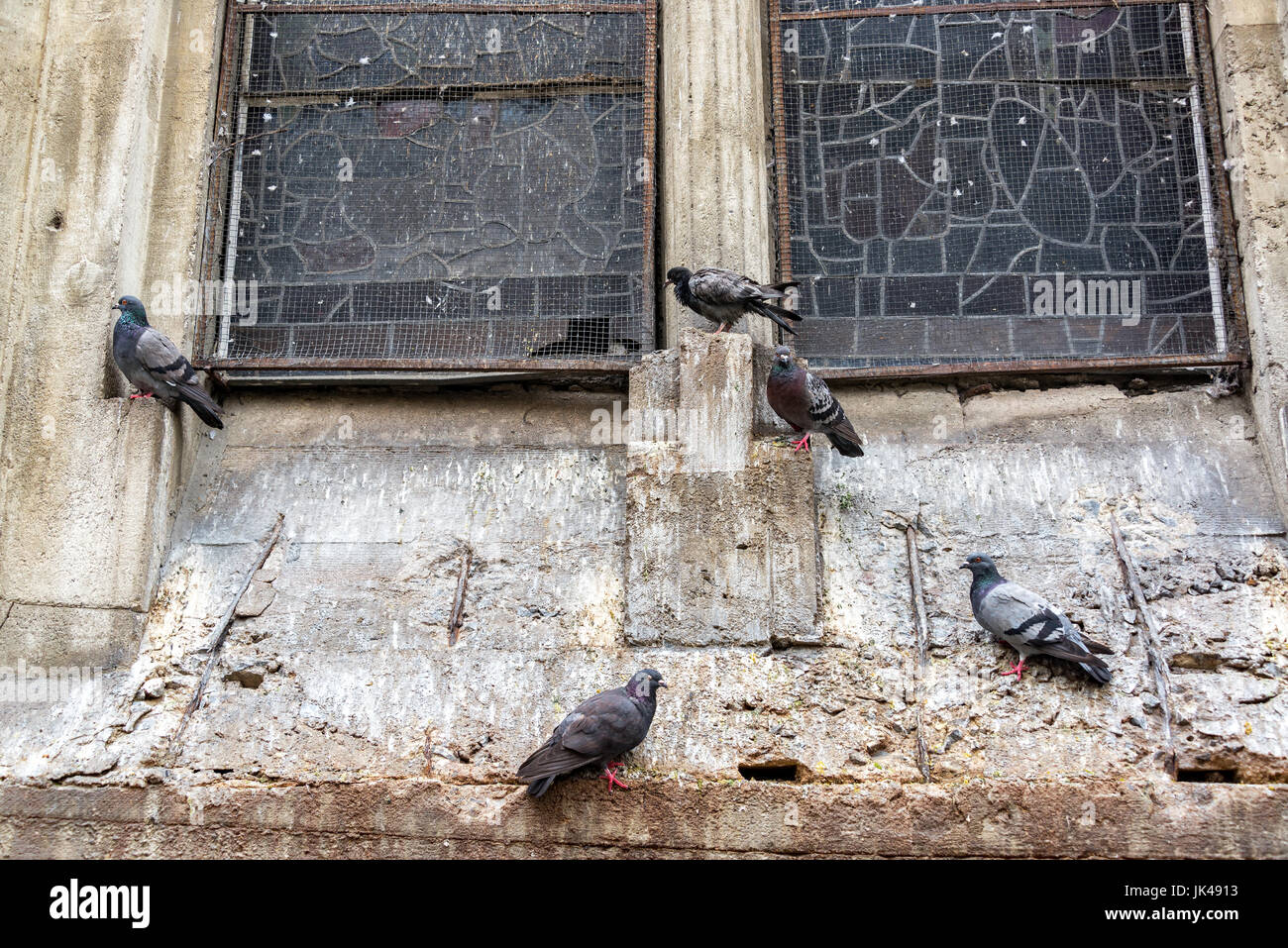 Five pigeons on the side of a cathedral in Manizales, Colombia Stock Photo