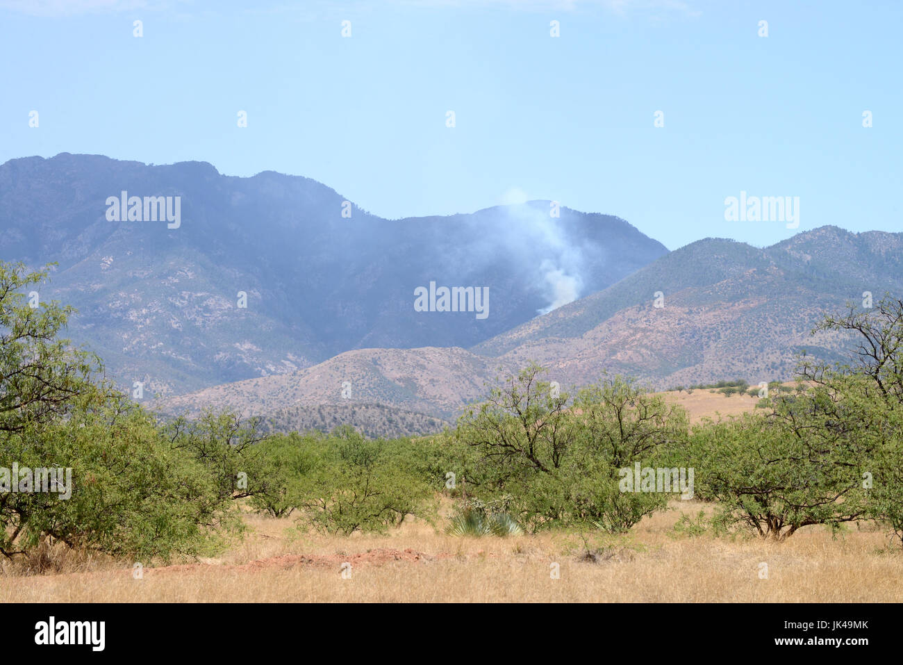 A lightning caused forest fire is monitored in the early stages by Coronado National Forest officials in the Santa Rita Mountains, Arizona, USA. Stock Photo