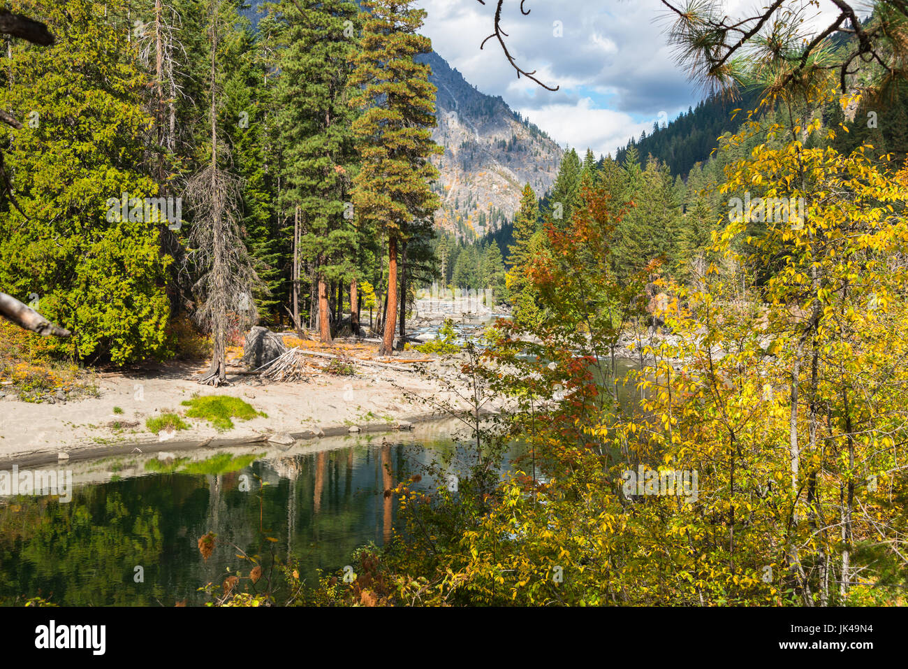 Mountain river evergreen forest hi-res stock photography and images - Alamy