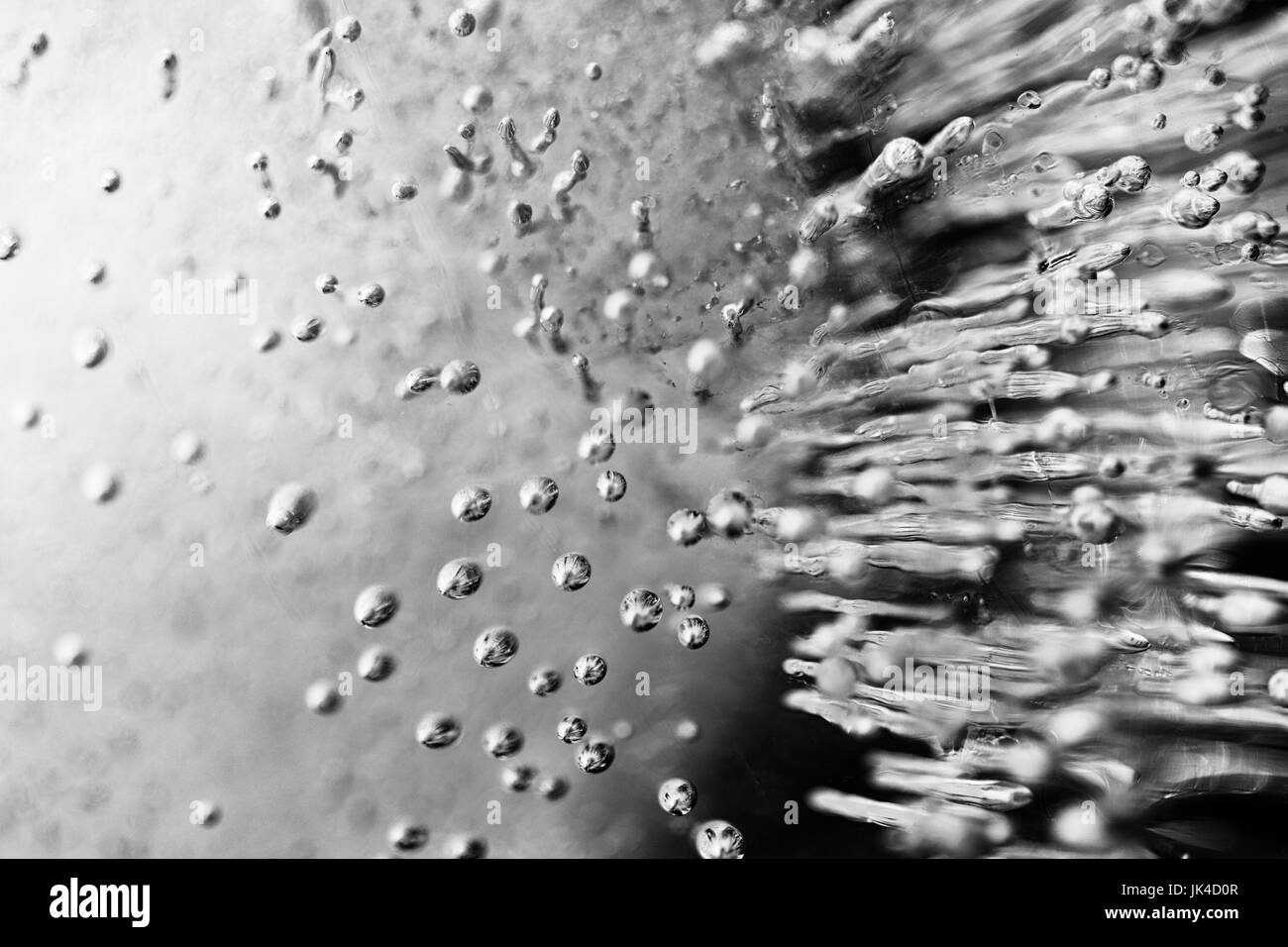 Air bubbles seem to shoot out into space in this macro shot of a frozen flower and air bubbles captured in ice Stock Photo