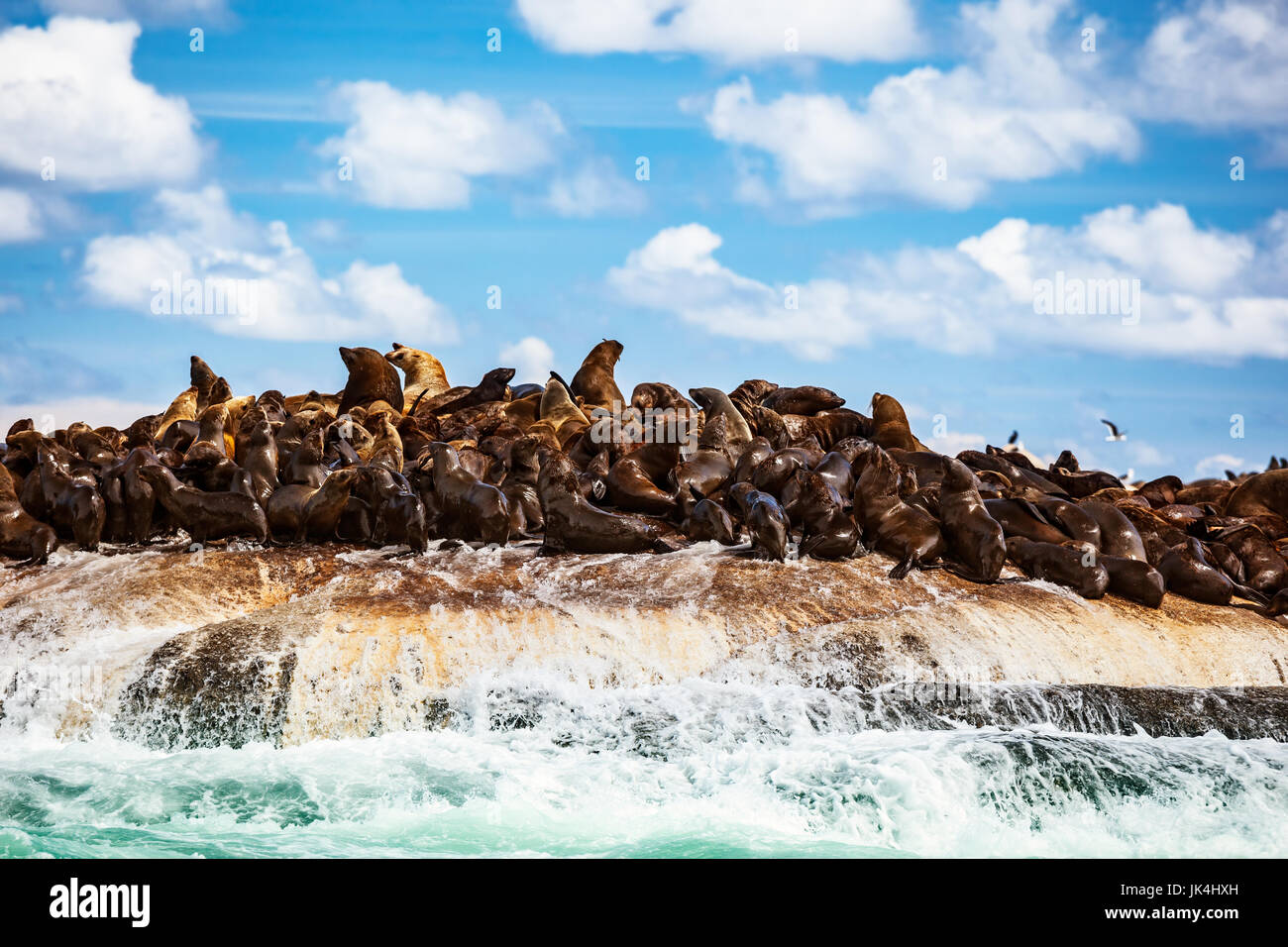 Beauty Supply On Stony Island Beauty & Health