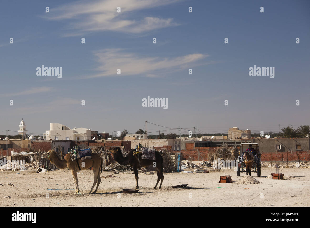 Tunisia, Sahara Desert, Douz, Zone Touristique, Great Dune, camels Stock Photo