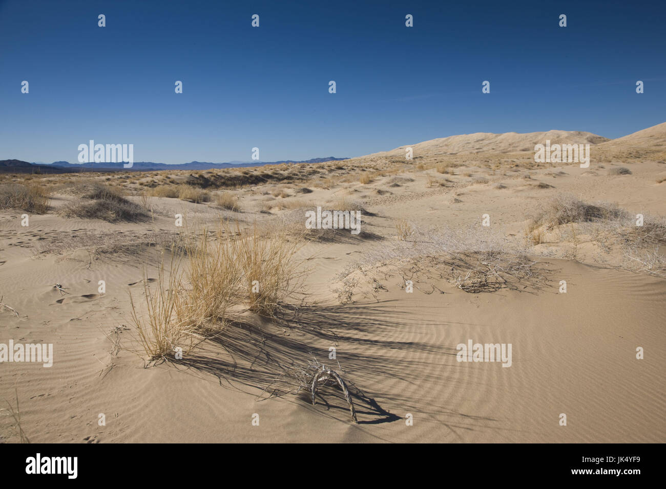 USA, California, Kelso, Mojave National Preserve, Kelso Dunes landscape Stock Photo