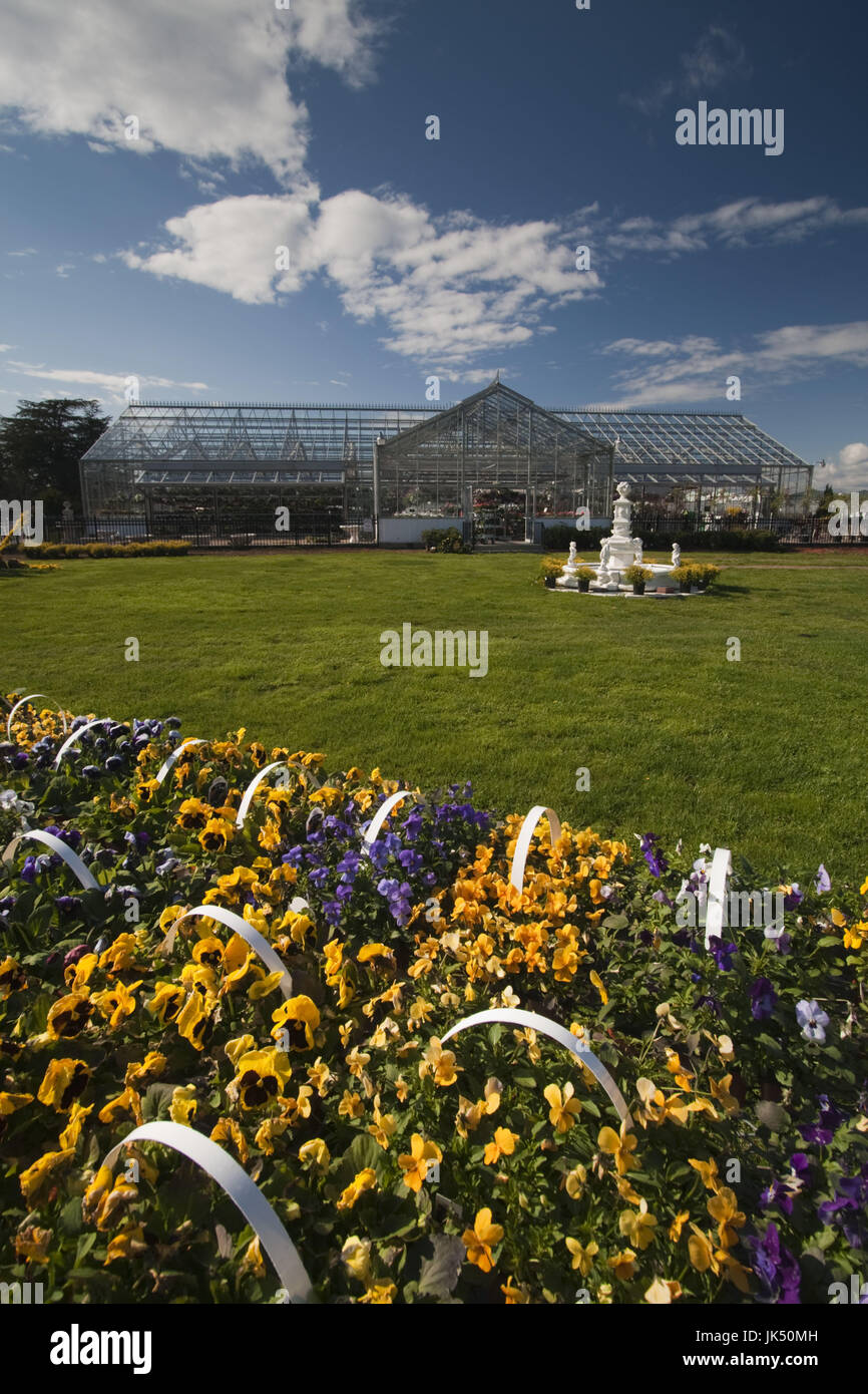 USA, New York, Long Island, Jamesport, spring flowers at plant shop