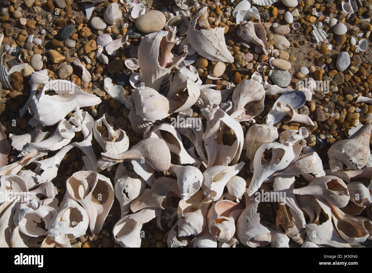 The hamptons beach hires stock photography and images Alamy
