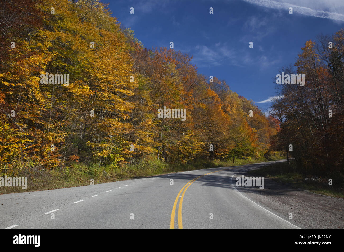 USA, West Virginia, Cheat Bridge, Monongahela National Forest, fall foliage, Rt.250 Stock Photo