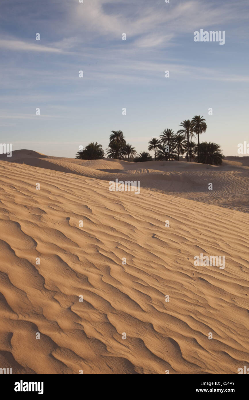 Tunisia, Sahara Desert, Douz, Great Dune, dawn Stock Photo