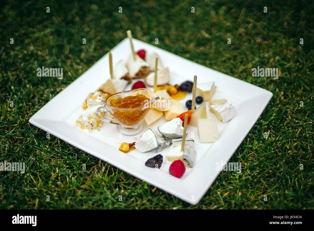 Cheese plate with many kinds of cheese. Exposed on a beautifully trimmed lawn, on a warm summer day. Stock Photo