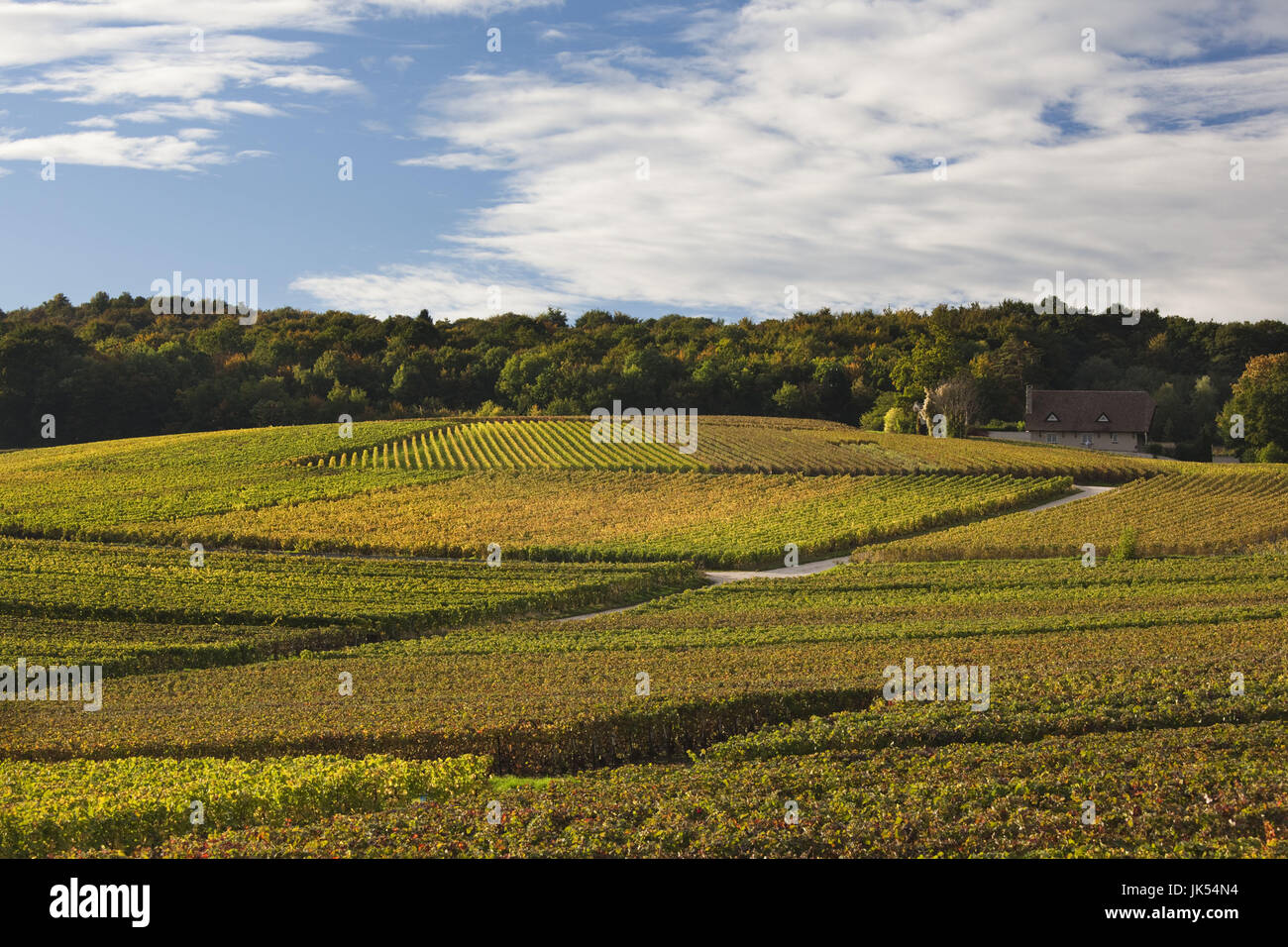 Chigny les roses champagne france hi-res stock photography and images ...