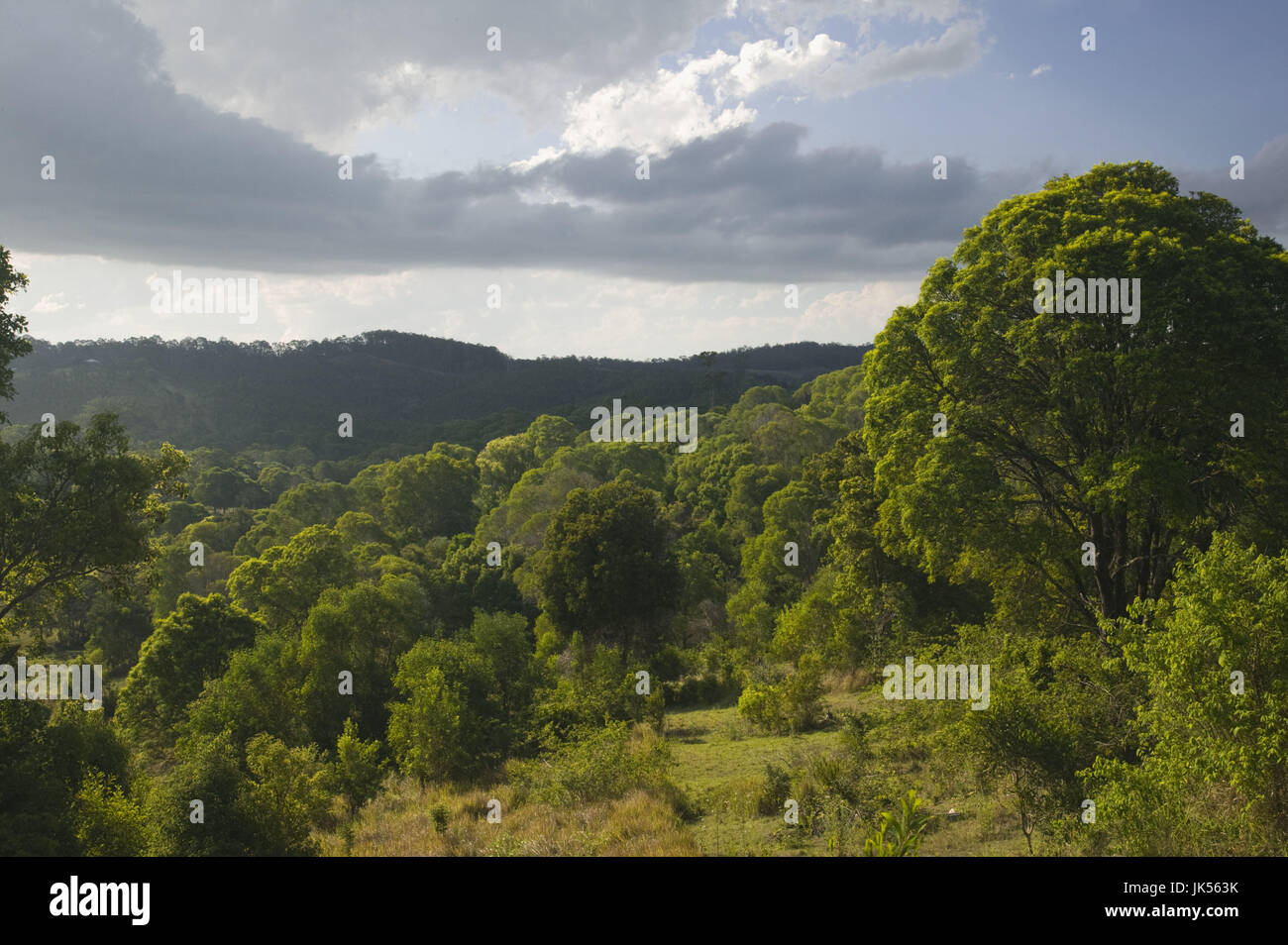 Australia, Queensland, Fraser Coast, Gympie, Landscape on the road to Fraser Island, Stock Photo