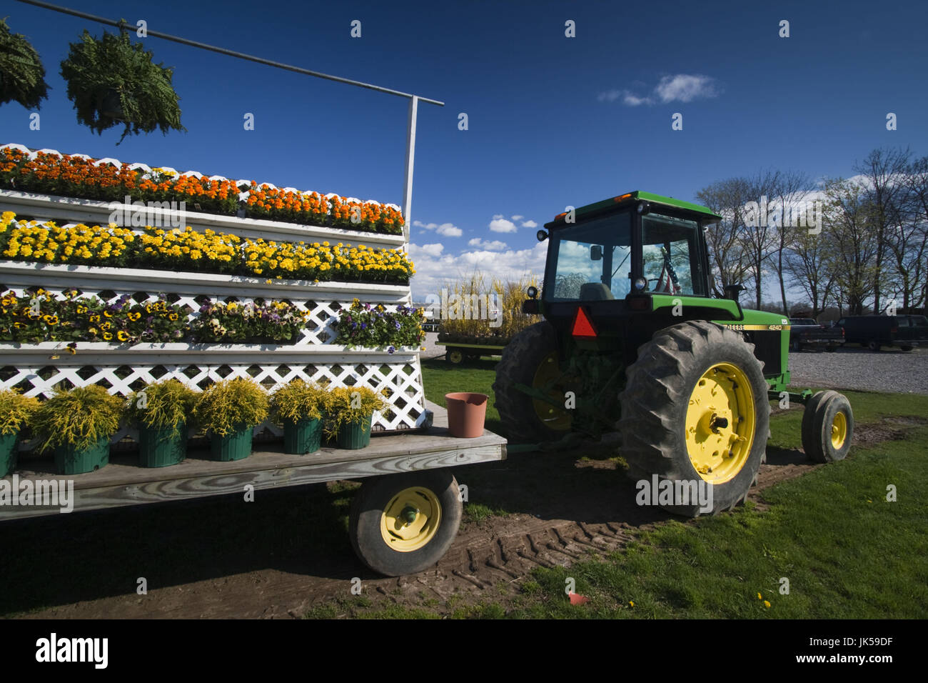 USA, New York, Long Island, Jamesport, spring flowers at plant shop
