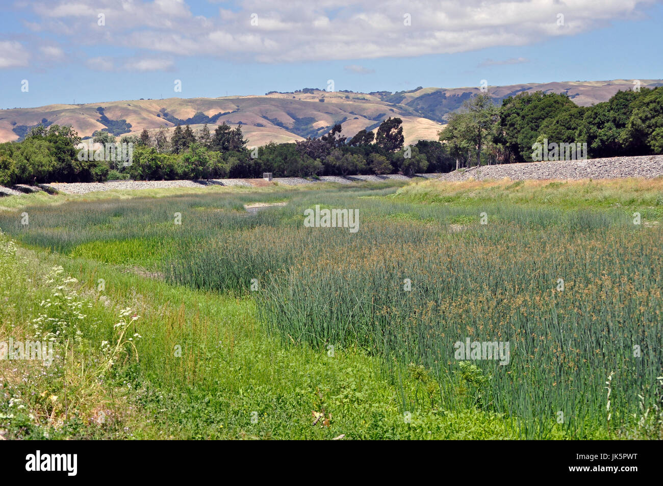 Alameda Creek, Regional Trail, East Bay hills, U Union City, CA USA