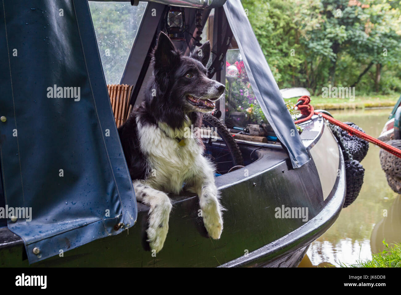 Cosgrove, North Buckinghamshire, U.K. 22nd July 2017.  Buckingham Canal Society annual Canal Festival on the Grand Union Canal over the weekend of 22nd-23rd July with trade boats and historic boats visiting and trading. The weather today has been overcast with some light rain. Credit: Keith J Smith./Alamy Live News Stock Photo