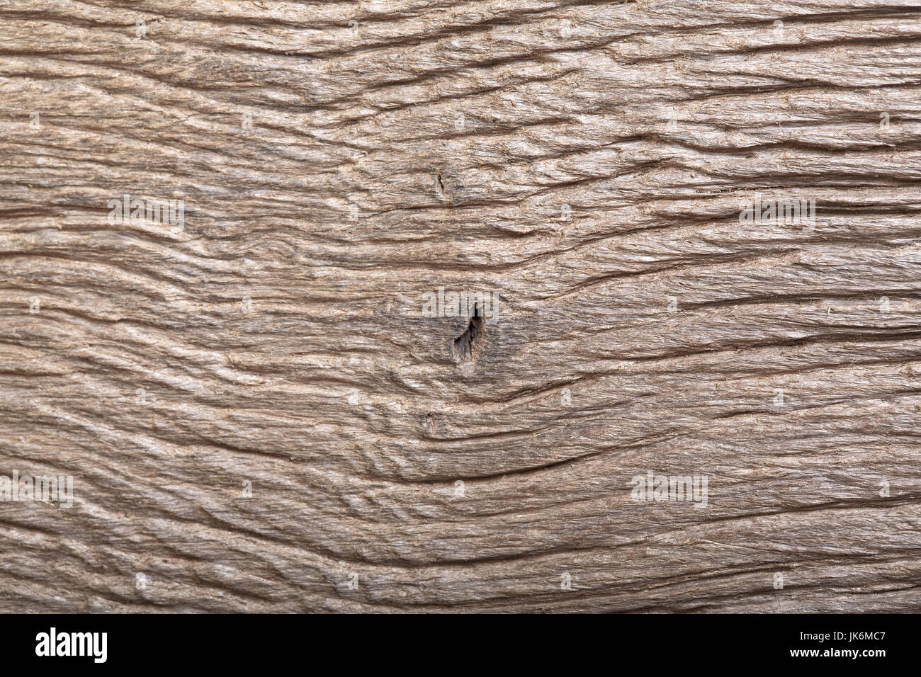 Prehistoric wood bog oak with fantastic scratched texture. Stock Photo