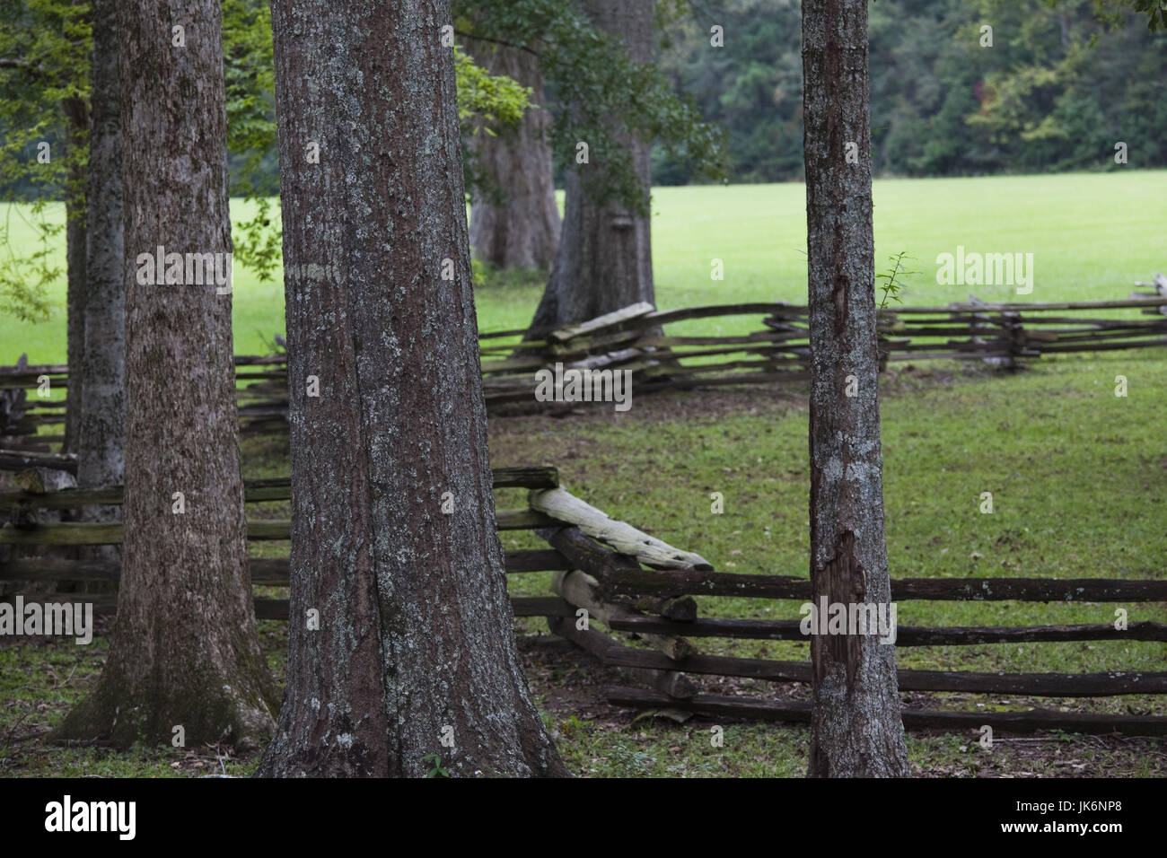 USA, Mississippi, Natchez, Natchez Trace Parkway, Mount Locust Inn and ...