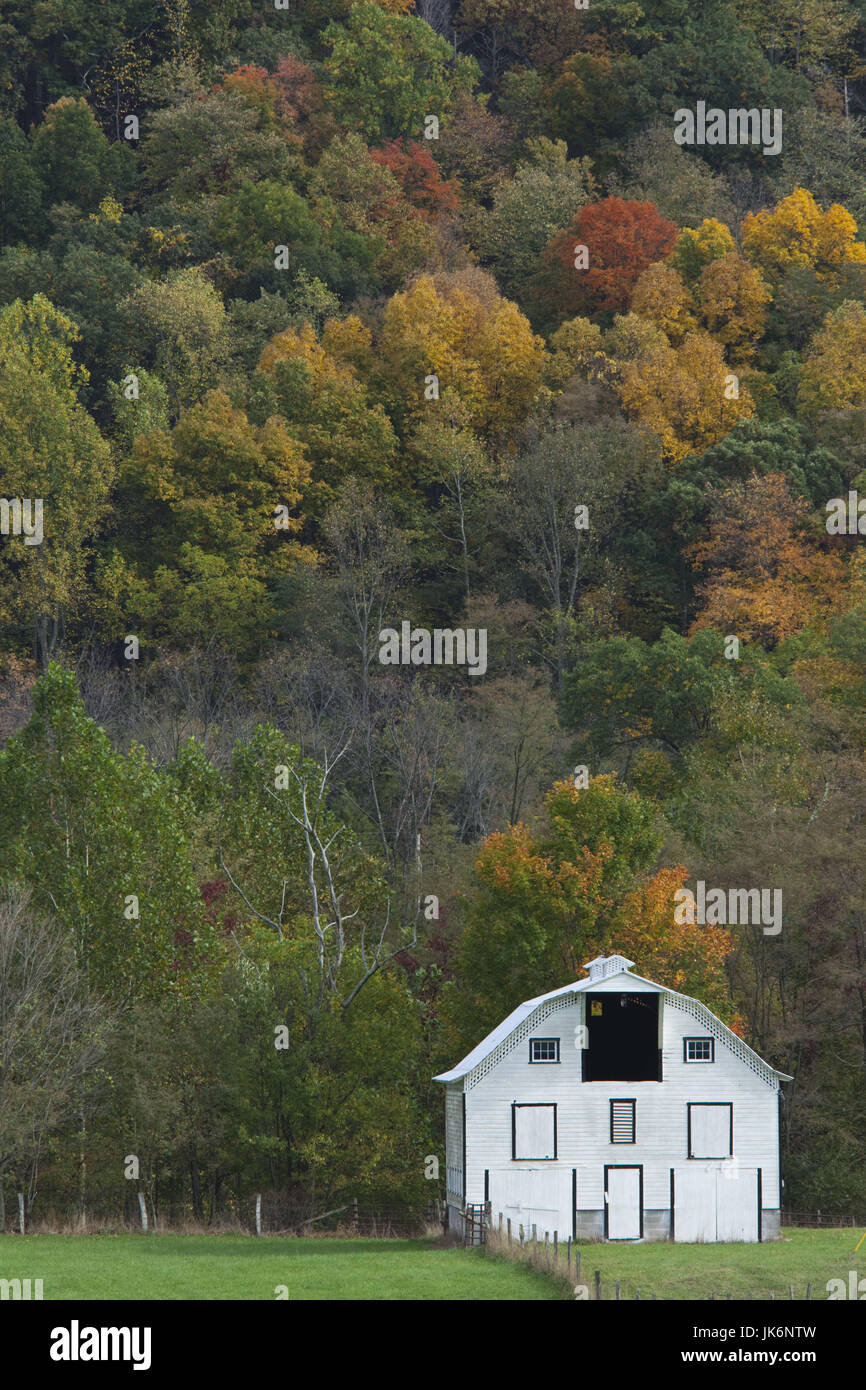 USA, West Virginia, Seneca Rocks, barn and autumn foliage Stock Photo ...