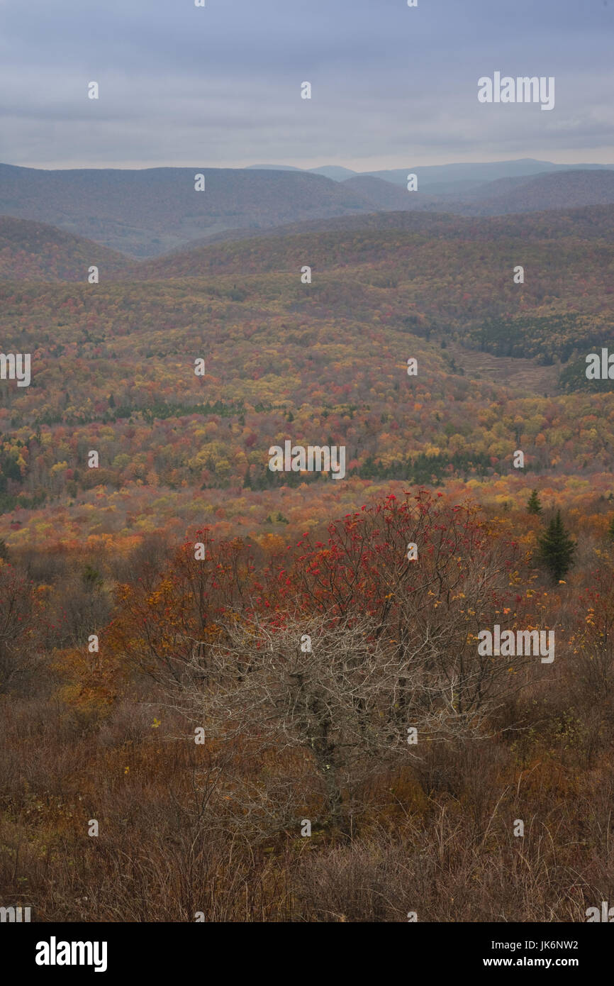 USA, West Virginia, Seneca Rocks, Spruce KnobSeneca Rocks National
