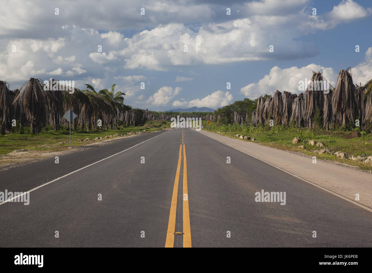 Dominican Republic, Central Area, Finca de Palma, RN7, highway to the Samana Peninsula Stock Photo