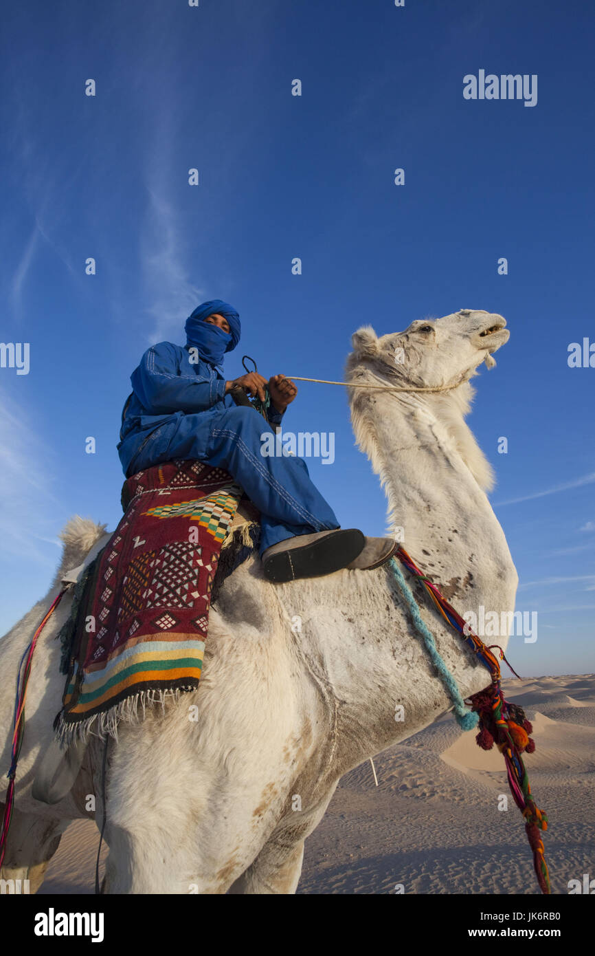 Tunisia, Sahara Desert, Douz, Great Dune, rider and camel, NR Stock Photo