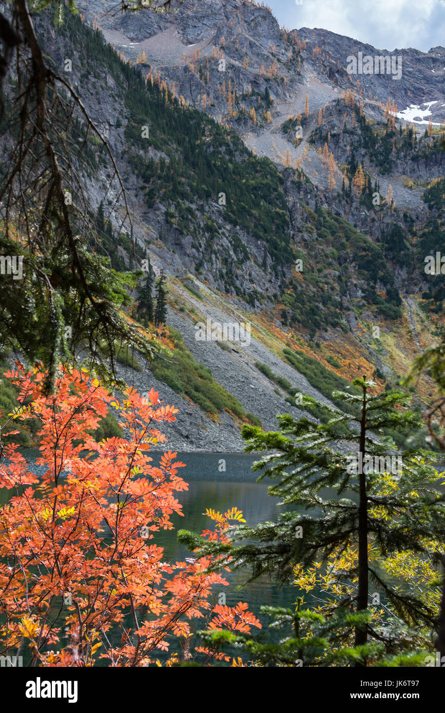 Mountain forest lake hi-res stock photography and images - Alamy
