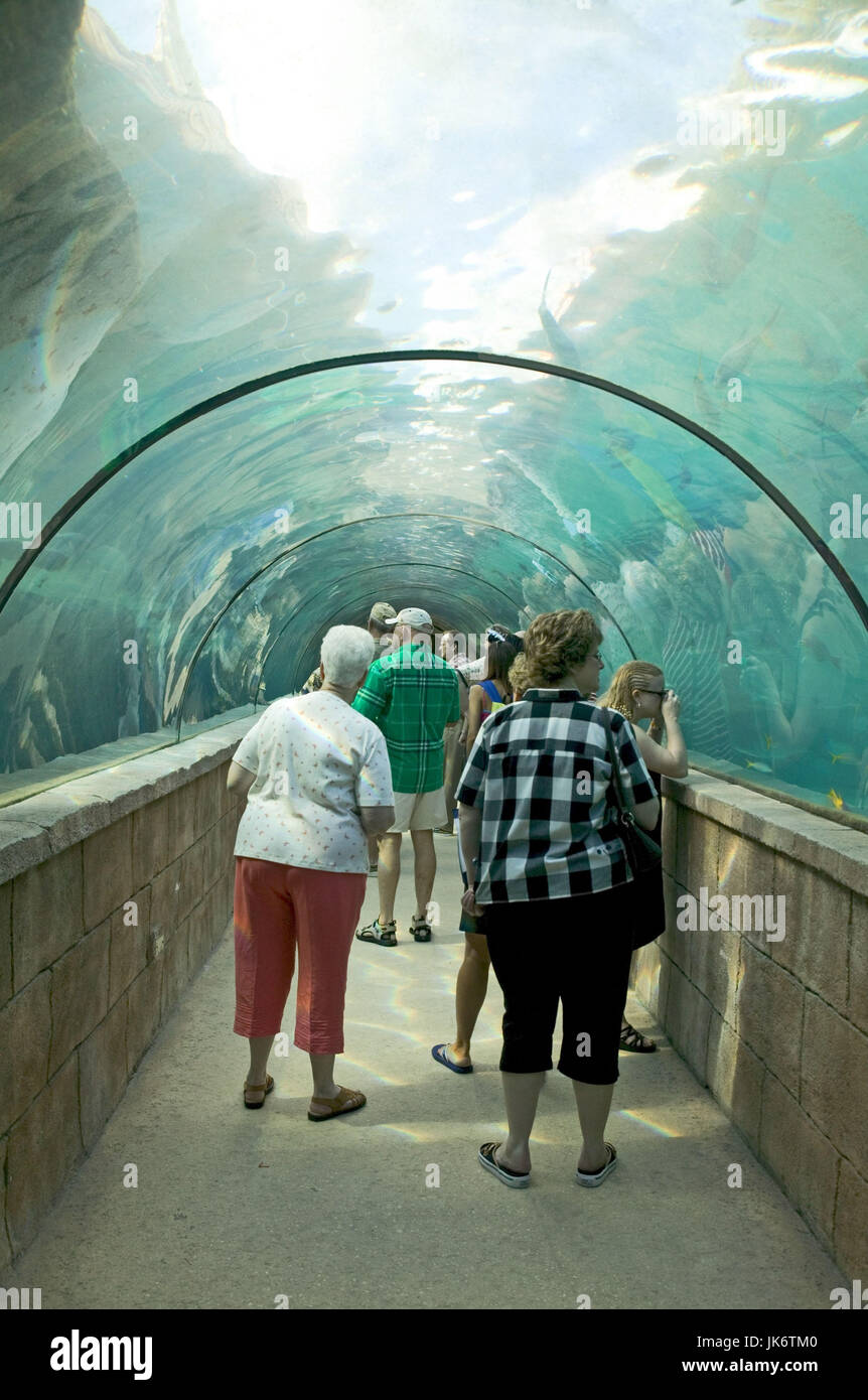 Aquarium, tropisch, Besucher, Tunnel, no model release Stock Photo