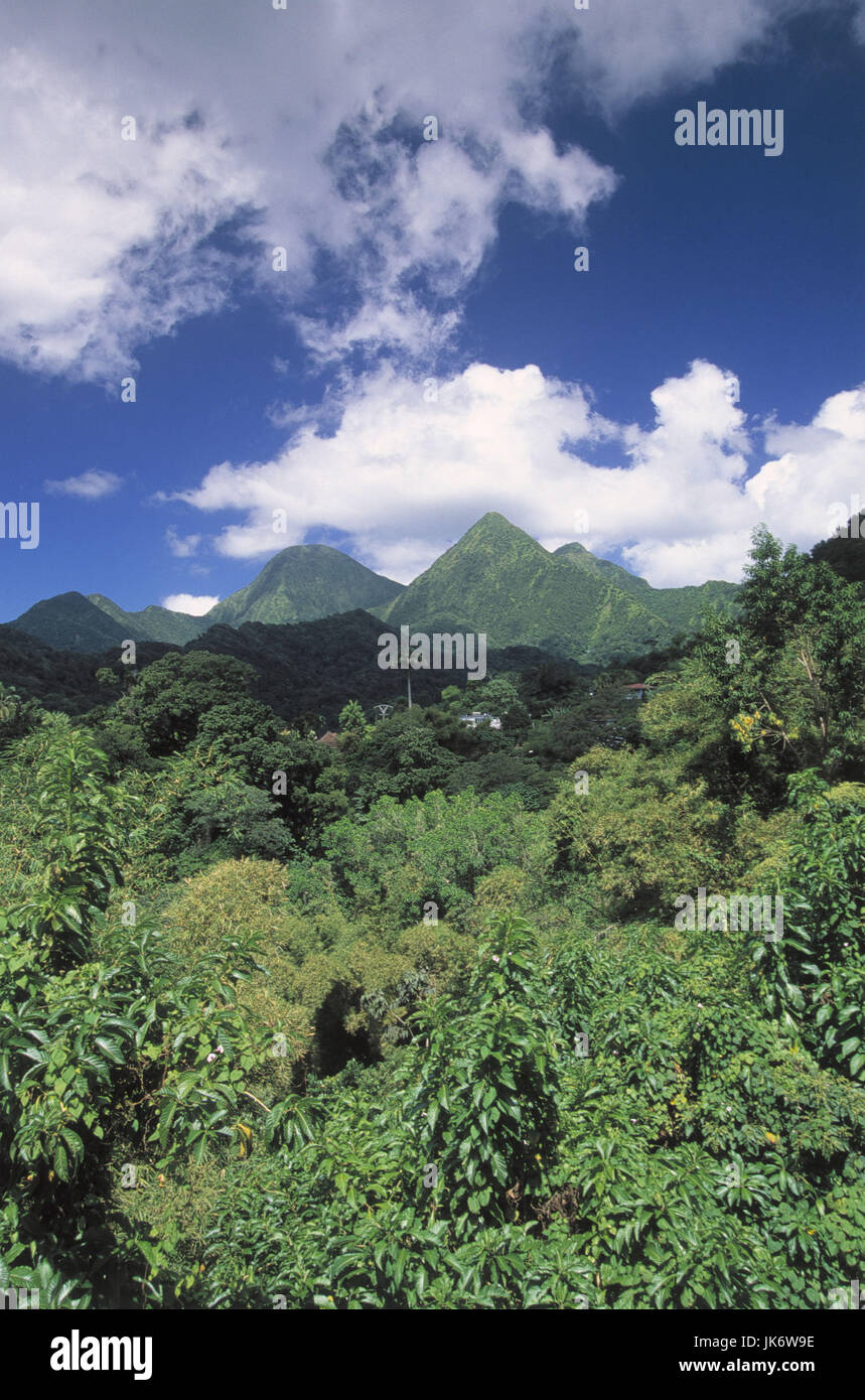 Karibik, Französische Antillen, Martinique, Route de la Trace, Pitons