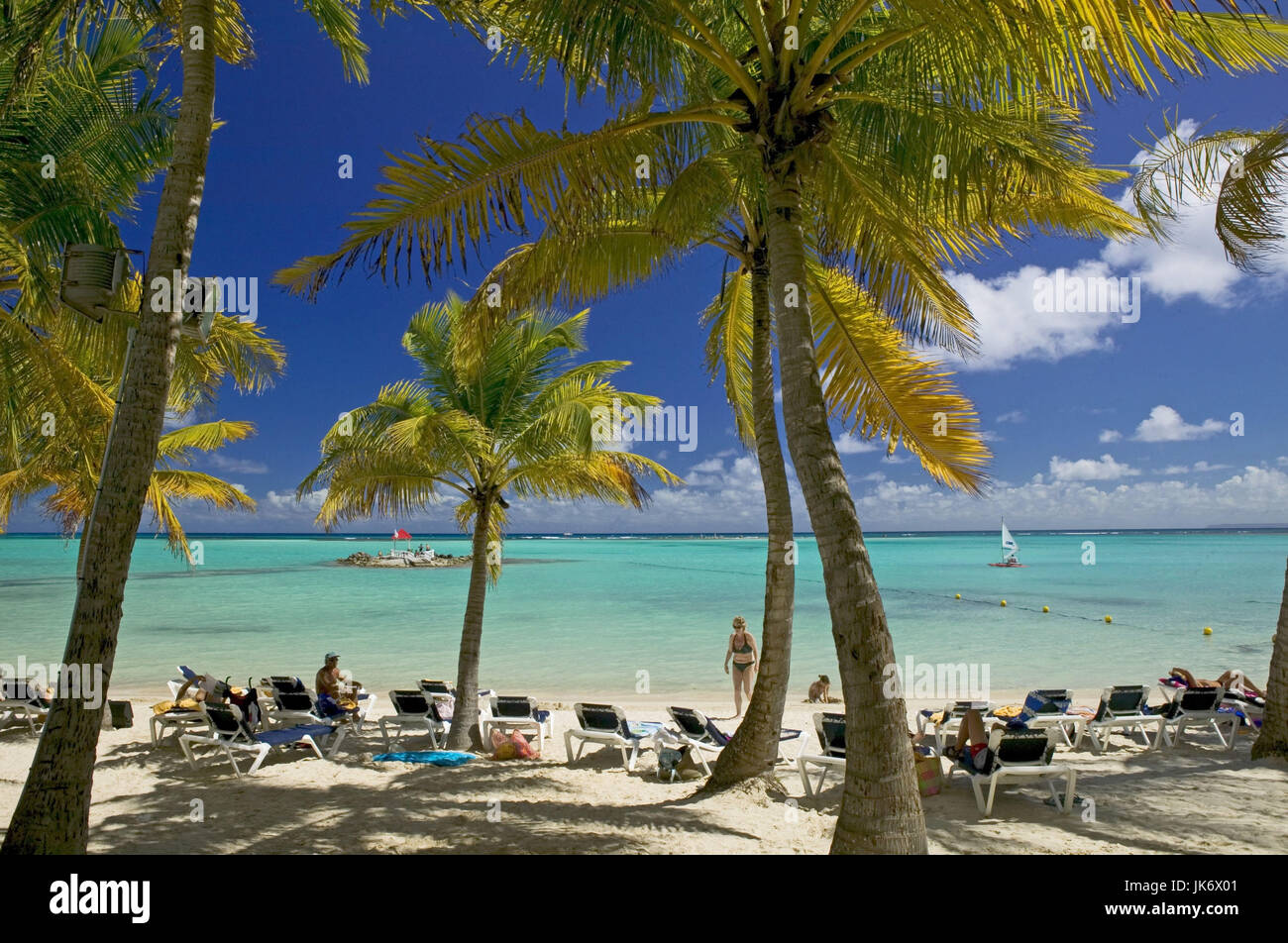 Guadeloupe, Palmenstrand, Traumstrand, Urlauber, Meer Stock Photo