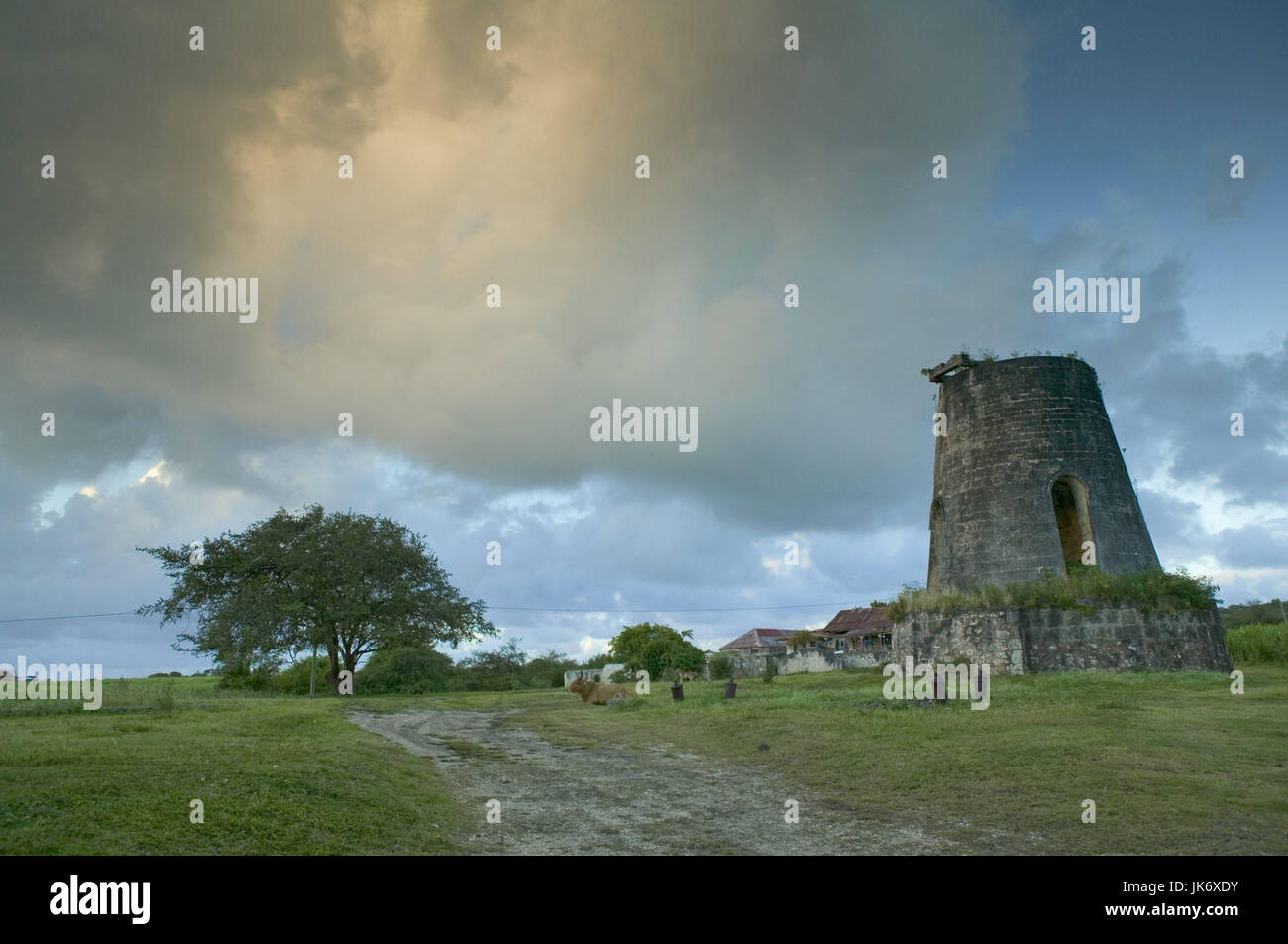Guadeloupe, Marie Galante Island, Zuckerrohrplantage, Ruinen Stock Photo