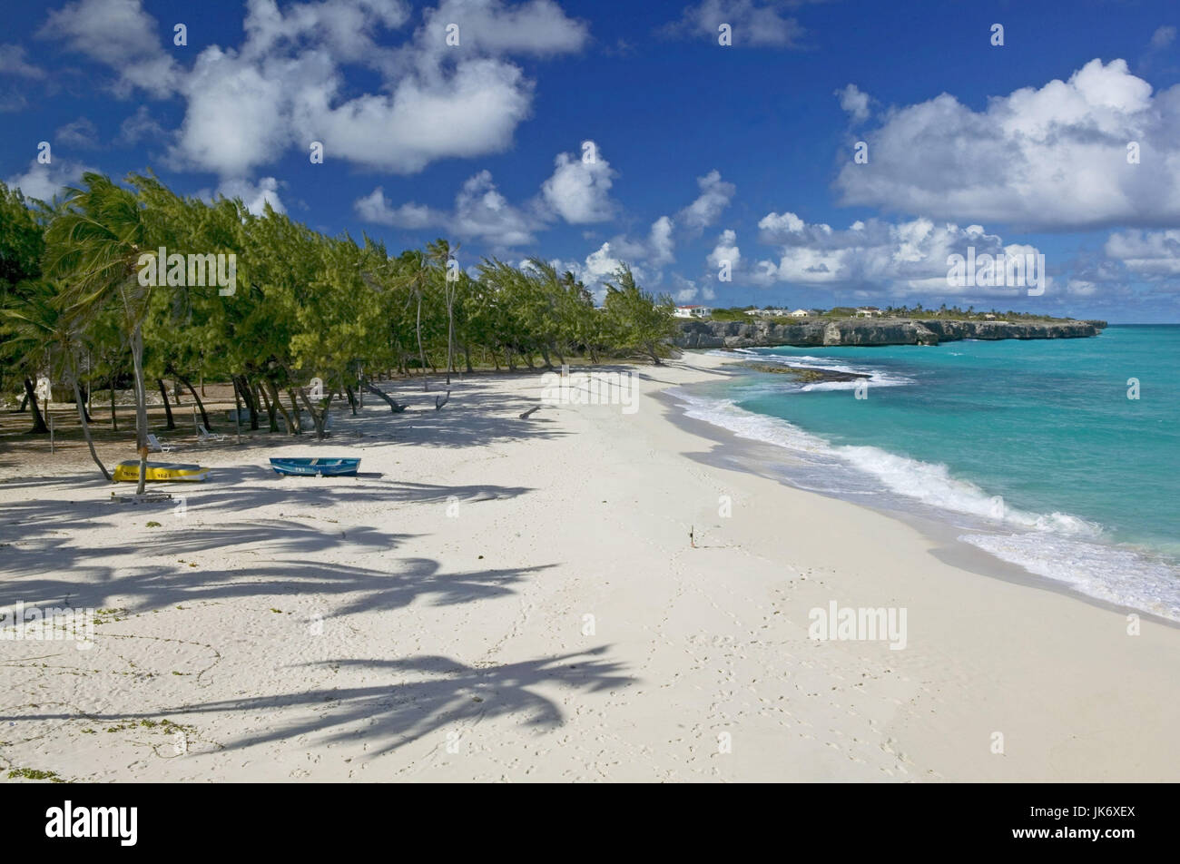 Karibik, Barbados, Palmenstrand Stock Photo