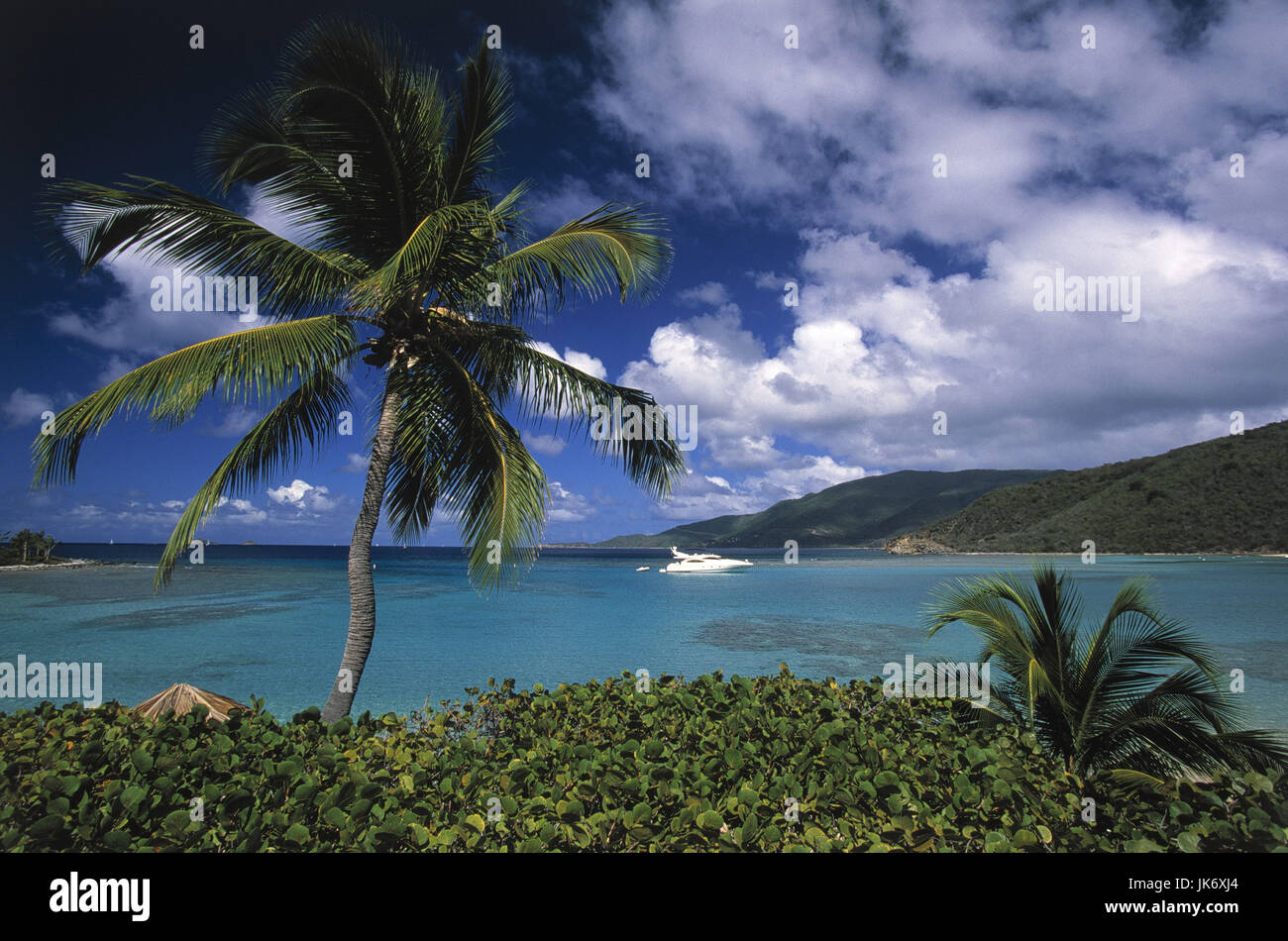 Karibik, British Virgin Islands, Virgin  Gorda, Little Dix Bay, Strand, Palmen  Mittelamerika, Westindische Inseln, Kleine Antillen, Britische Jungferninseln, Karibisches Meer, Atlantik, Atlantischer Ozean, Küste, Atlantikküste, Bucht, Motoryacht, Himmel, Wolken Stock Photo