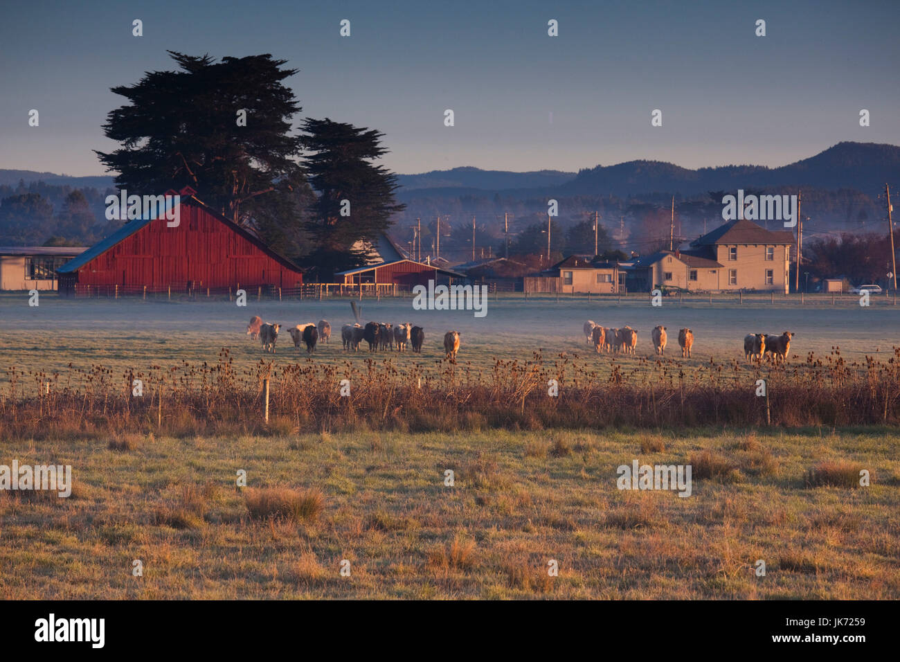 Arcata california hires stock photography and images Alamy