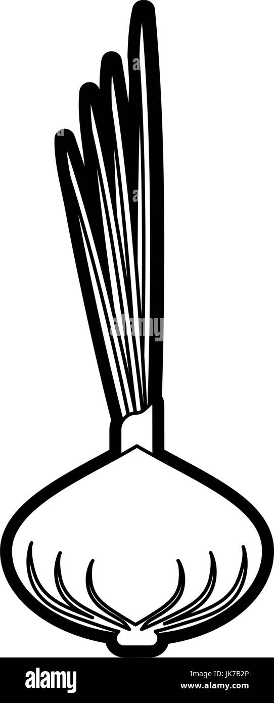 onion vector illustration Stock Vector Image & Art - Alamy