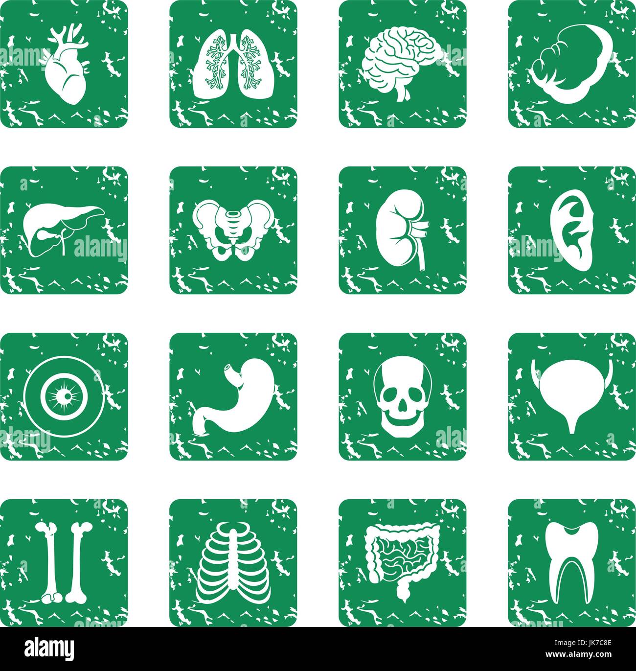 Human organs icons set grunge Stock Vector Image & Art - Alamy