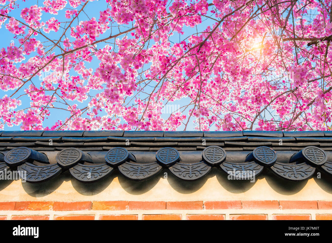 Cherry Blossom with roof of temple in spring. Stock Photo