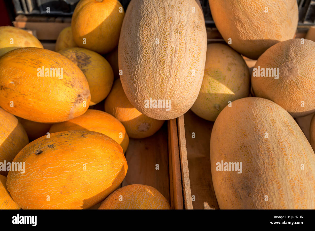 Ripe yellow melons Stock Photo