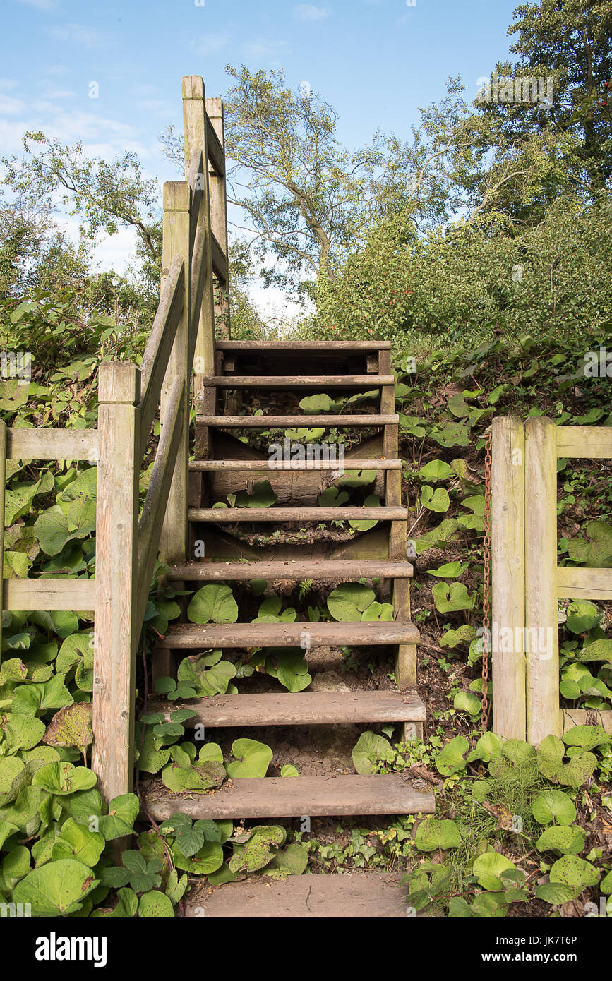 Ladder over fence hires stock photography and images Alamy