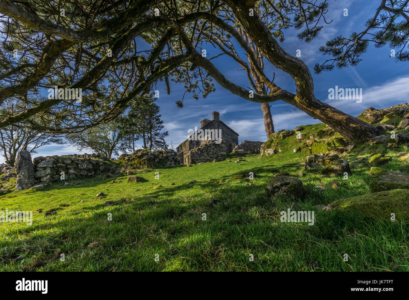 Ditsworthy Warren House Dartmoor. built for the warren keeper. It was