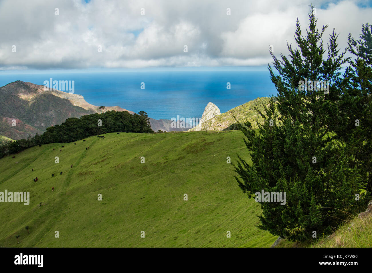 Helena long hi-res stock photography and images - Alamy