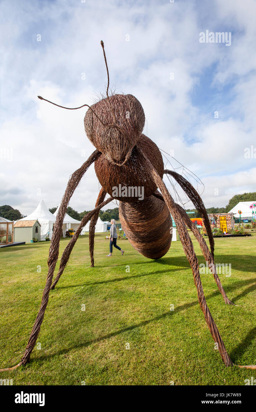 Giant, woven wicker ant sculpture at RHS Tatton Park Flower Show, Knutsford, UK Stock Photo