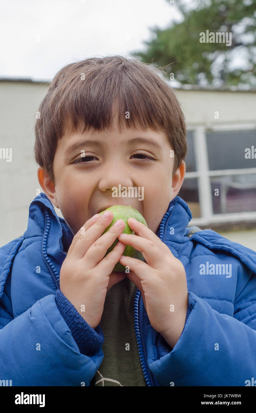 A boy eating a home grown apple in the back garden. Stock Photo
